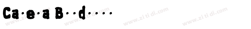 Canera Bold字体转换